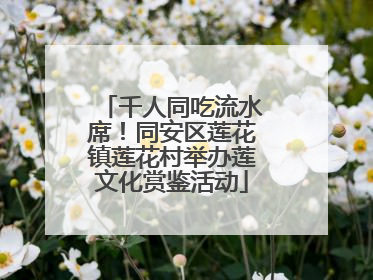 千人同吃流水席！同安区莲花镇莲花村举办莲文化赏鉴活动