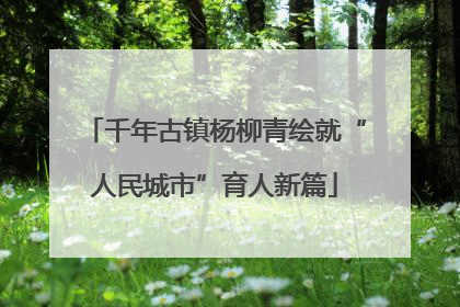 千年古镇杨柳青绘就“人民城市”育人新篇