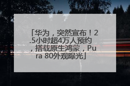 华为，突然宣布！2.5小时超4万人预约，搭载原生鸿蒙，Pura 80外观曝光