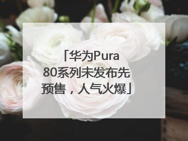 华为Pura 80系列未发布先预售，人气火爆