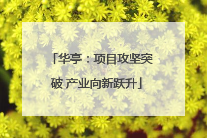华亭：项目攻坚突破 产业向新跃升