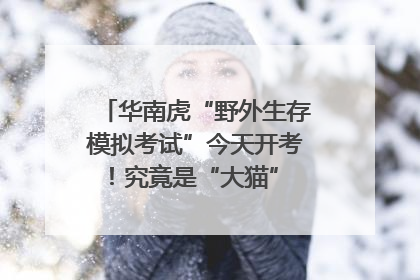 华南虎“野外生存模拟考试”今天开考！究竟是“大猫” 还是顶级猎食者？