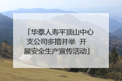 华泰人寿平顶山中心支公司多措并举  开展安全生产宣传活动