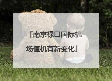 南京禄口国际机场值机有新变化