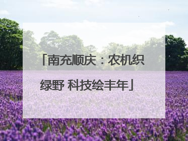 南充顺庆：农机织绿野 科技绘丰年