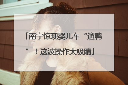 南宁惊现婴儿车“遛鸭”！这波操作太吸睛