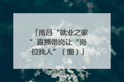 南昌“就业之家”直播带岗让“岗位找人”（图）