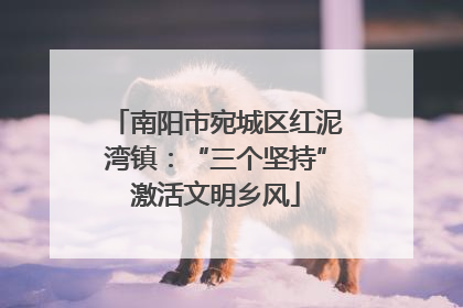 南阳市宛城区红泥湾镇：“三个坚持”激活文明乡风