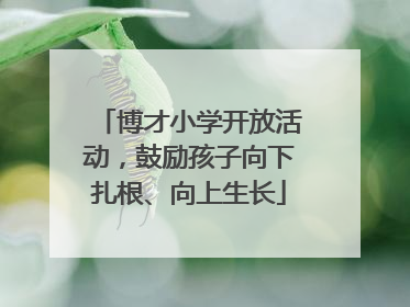 博才小学开放活动，鼓励孩子向下扎根、向上生长