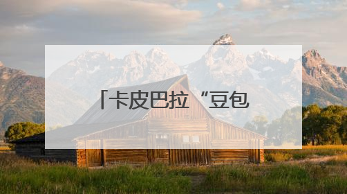 卡皮巴拉“豆包”征婚：无需彩礼，有正式编制，嫁妆豪华别墅＋专属泳池！