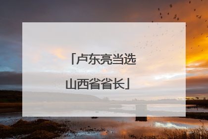 卢东亮当选山西省省长