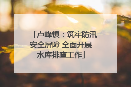 卢峰镇：筑牢防汛安全屏障 全面开展水库排查工作