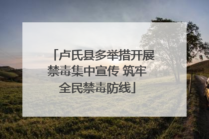 卢氏县多举措开展禁毒集中宣传 筑牢全民禁毒防线