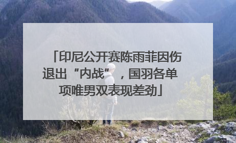 印尼公开赛陈雨菲因伤退出“内战”，国羽各单项唯男双表现差劲