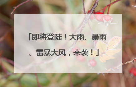 即将登陆！大雨、暴雨、雷暴大风，来袭！