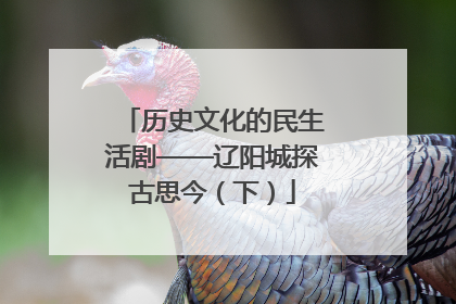 历史文化的民生活剧——辽阳城探古思今（下）