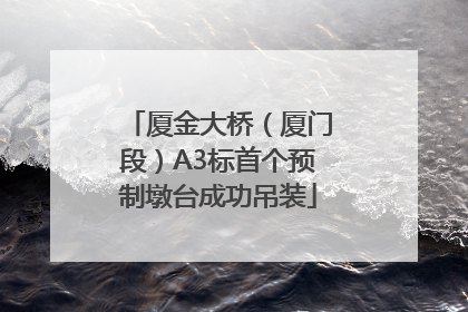 厦金大桥（厦门段）A3标首个预制墩台成功吊装