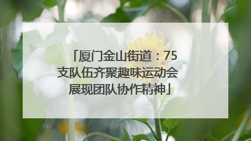 厦门金山街道：75支队伍齐聚趣味运动会 展现团队协作精神