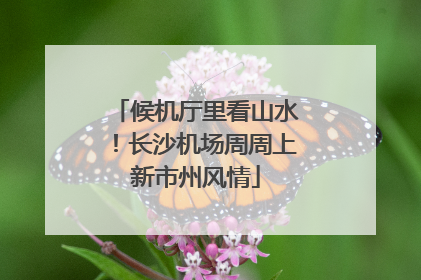 候机厅里看山水！长沙机场周周上新市州风情