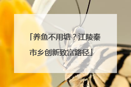 养鱼不用塘？江陵秦市乡创新致富路径