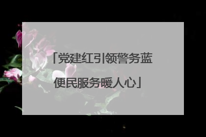 党建红引领警务蓝 便民服务暖人心