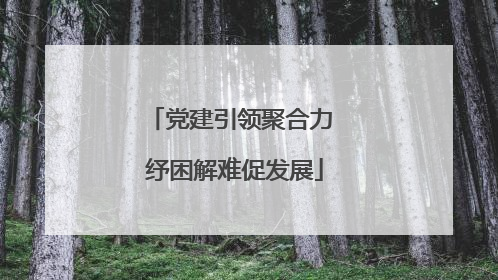 党建引领聚合力 纾困解难促发展