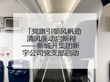 党旗引领风帆劲 清风廉动启新程——新城开集团新宇公司党支部启动“清风廉动党旗红”系列活动