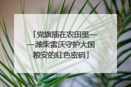 党旗插在农田里——潍柴雷沃守护大国粮安的红色密码