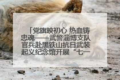 党旗映初心 热血铸忠魂——武警淄博支队官兵赴黑铁山抗日武装起义纪念馆开展“七一”主题党日活动
