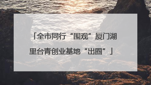 全市同行“围观”厦门湖里台青创业基地“出圈”