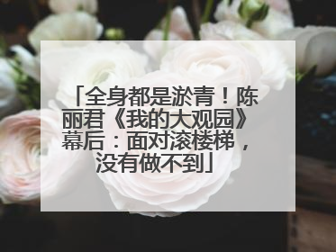全身都是淤青！陈丽君《我的大观园》幕后：面对滚楼梯，没有做不到