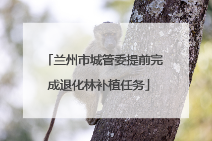 兰州市城管委提前完成退化林补植任务