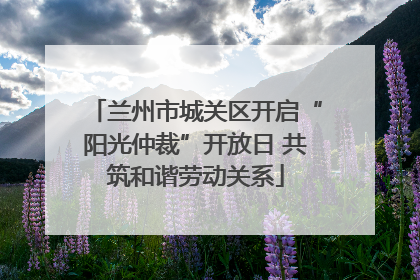 兰州市城关区开启“阳光仲裁”开放日 共筑和谐劳动关系