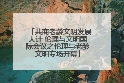 共商老龄文明发展大计 伦理与文明国际会议之伦理与老龄文明专场开幕
