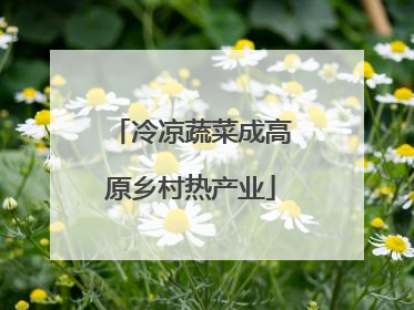冷凉蔬菜成高原乡村热产业