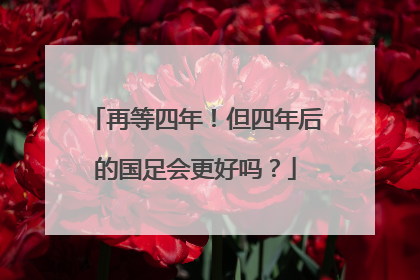 再等四年！但四年后的国足会更好吗？