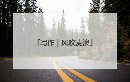 写作｜风吹麦浪