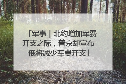 军事｜北约增加军费开支之际，普京却宣布俄将减少军费开支