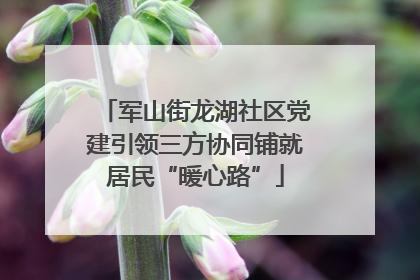 军山街龙湖社区党建引领三方协同铺就居民“暖心路”