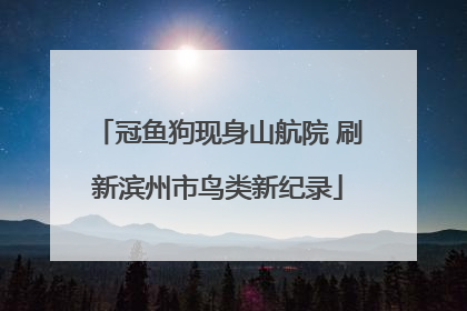 冠鱼狗现身山航院 刷新滨州市鸟类新纪录