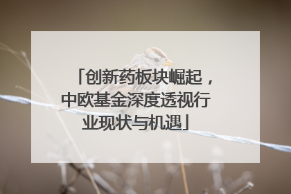 创新药板块崛起，中欧基金深度透视行业现状与机遇