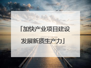 加快产业项目建设 发展新质生产力