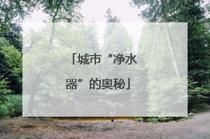 城市“净水器”的奥秘