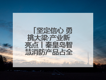 坚定信心 勇挑大梁·产业新亮点丨秦皇岛智慧消防产品占全国市场超四成