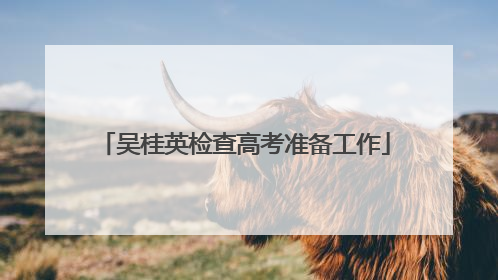 吴桂英检查高考准备工作