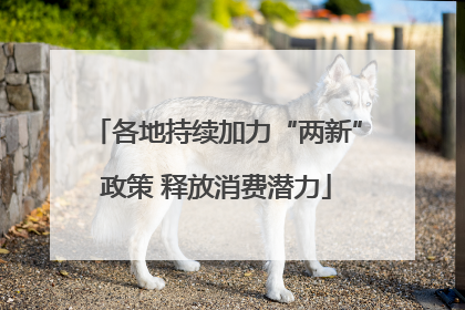 各地持续加力“两新”政策 释放消费潜力