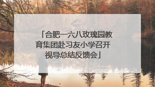 合肥一六八玫瑰园教育集团赴习友小学召开视导总结反馈会