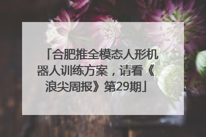 合肥推全模态人形机器人训练方案，请看《浪尖周报》第29期