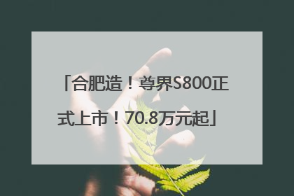 合肥造！尊界S800正式上市！70.8万元起