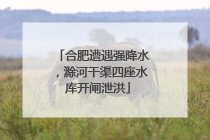 合肥遭遇强降水，滁河干渠四座水库开闸泄洪